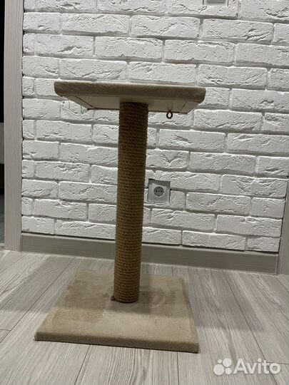 Когтеточка для котят