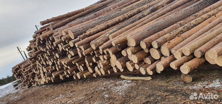 Лес кругляк