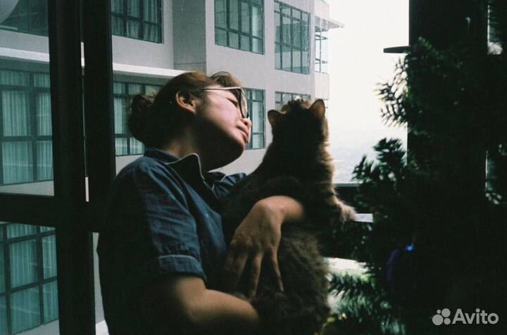 Пленочный фотоаппарат Panasonic C-325EF