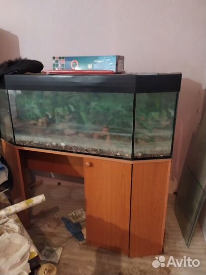 Продаю аквариум б/у