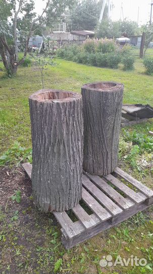 Дуплянки липовые