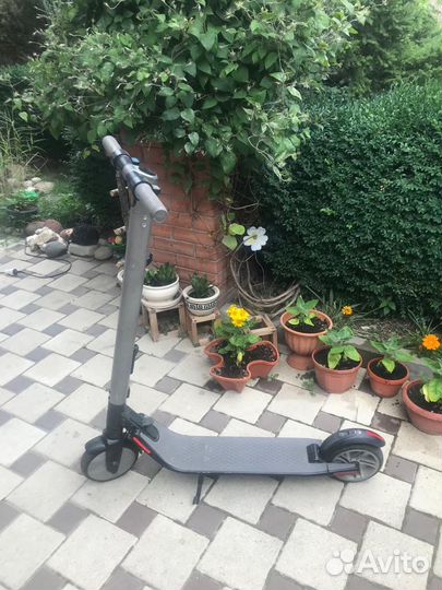 Электросамокат ninebot