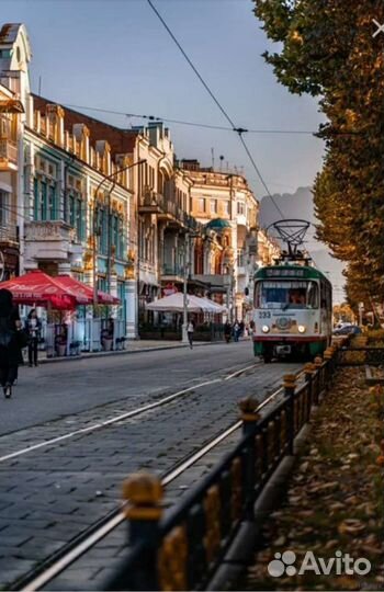 Гид-экскурсовод