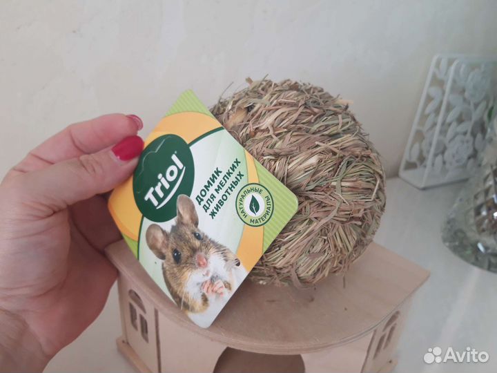 Домик для джунгарского хомяка