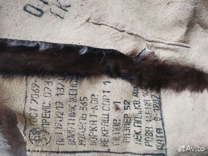 Шкурка животного