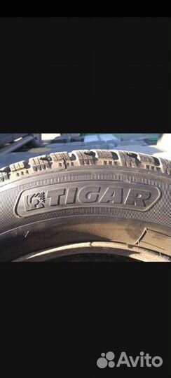 Tigar Winter 205/65 R15 94T