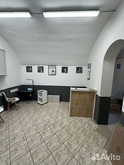 Груминг собак и кошек в самом центре города