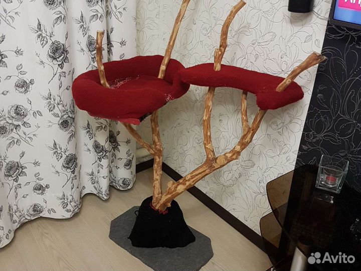 Товары для кошек