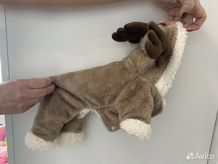 Одежда для собак