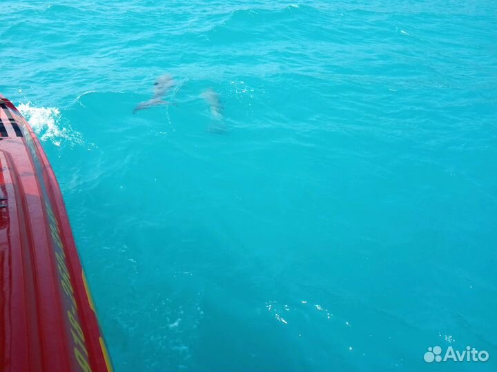 Морские экскурсии и рыбалка