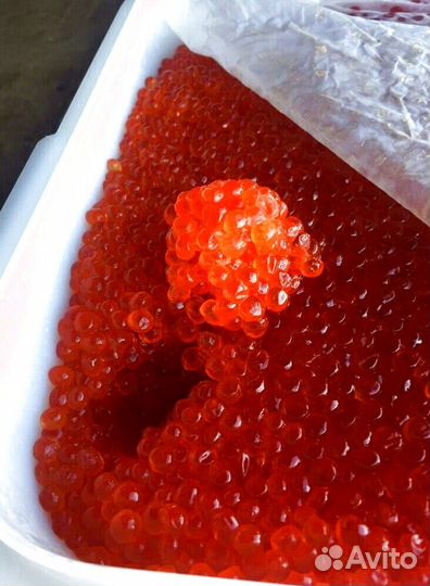 Красная икра оптом