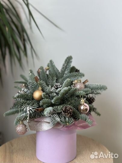 Новогодняя композиция из нобилиса