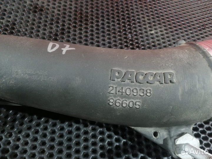 Патрубок интеркулера Daf XF106