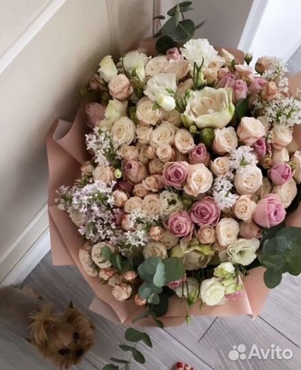 Цветы букеты с доставкой розы 51 роза