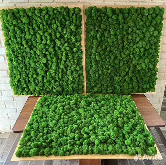 Панно из мха