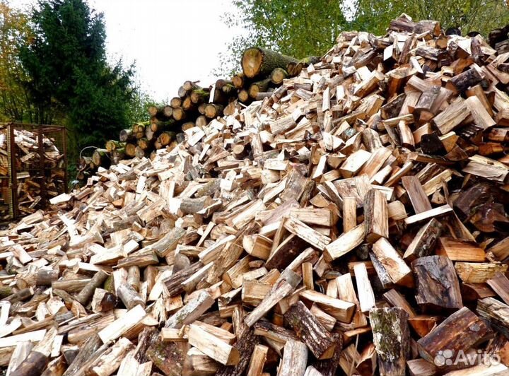 Дрова в СПБ