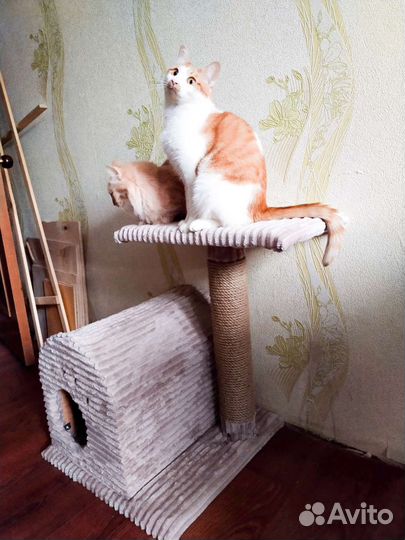 Кошачий домик с когтеточкой 