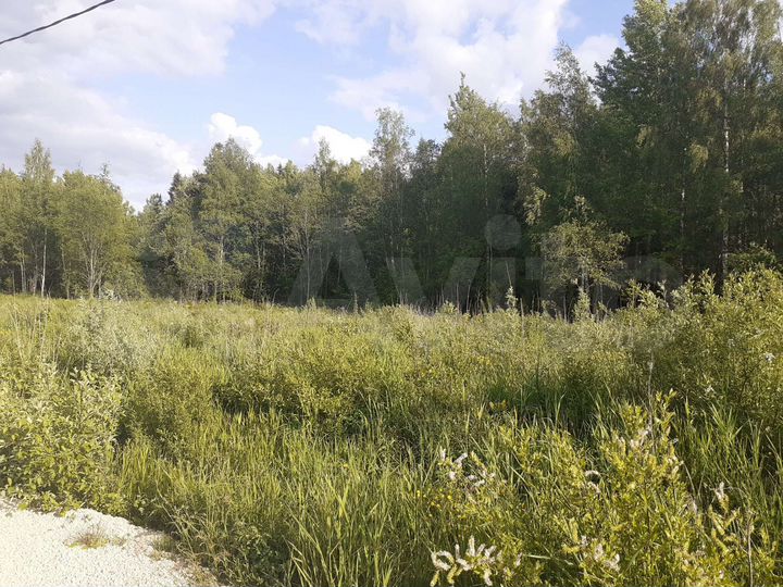 Участок 21 сот. (СНТ, ДНП)