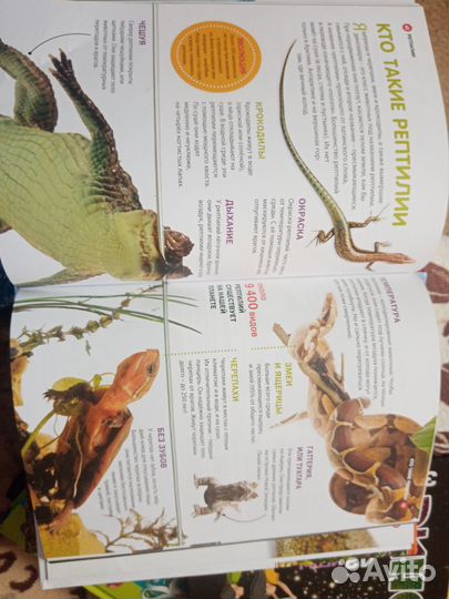 Книги для детей