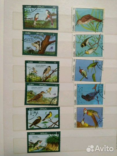 Марки (1) флора и фауна