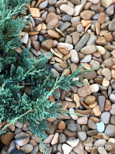 Морская галька 5-10 мм, каменный ковер