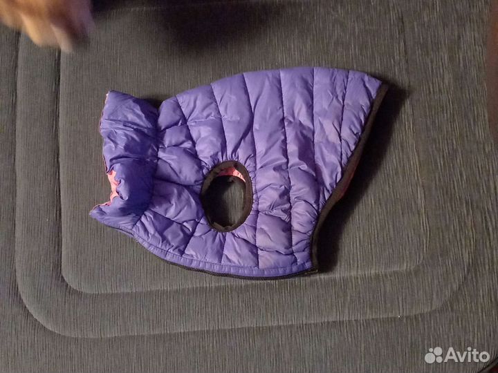 Корм для собак