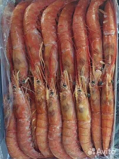 Лангустины L2