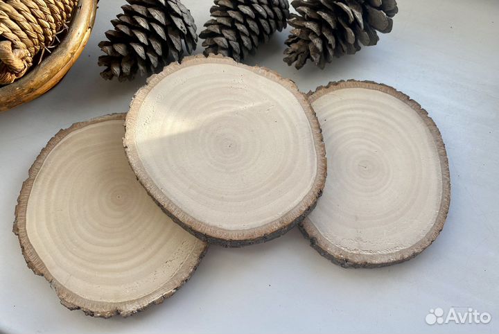 Спилы дерева