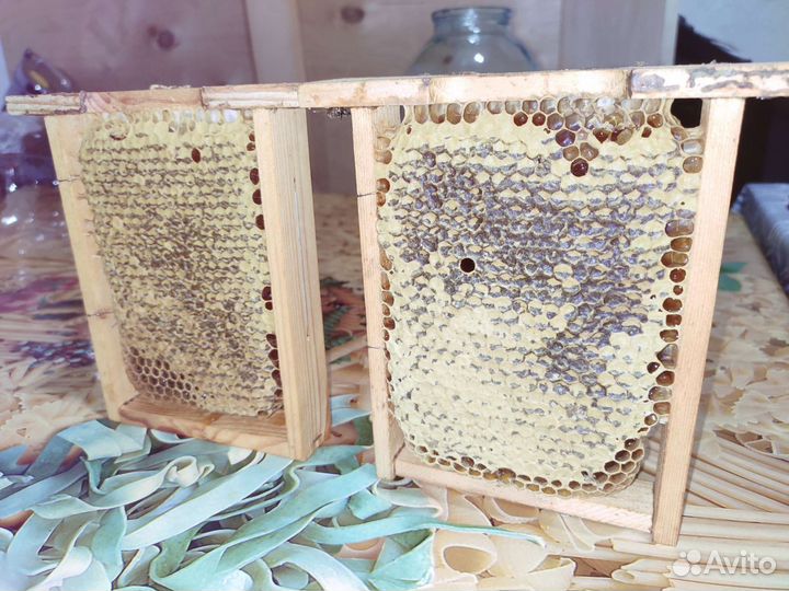 Мёд в сотах и в банке