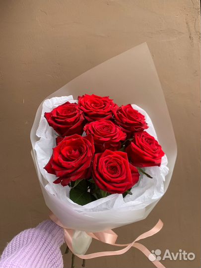 Моно красных роз 7