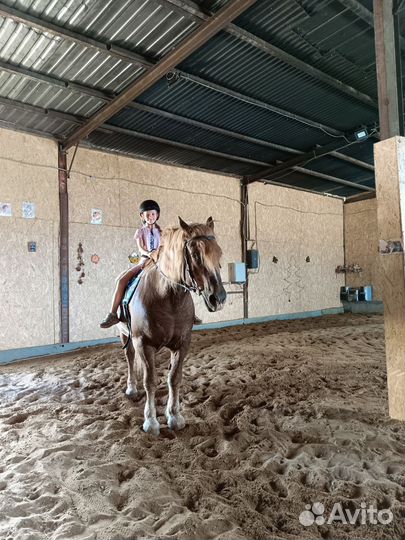 Постой для лошадей