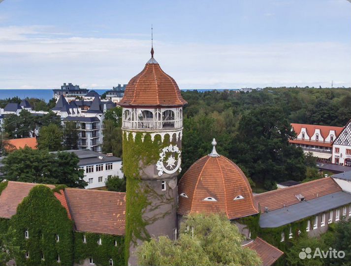 Экскурсии по Калининграду и области