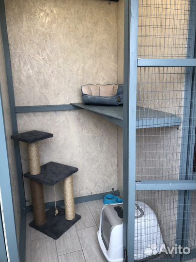 Зоогостиница, передержка животных