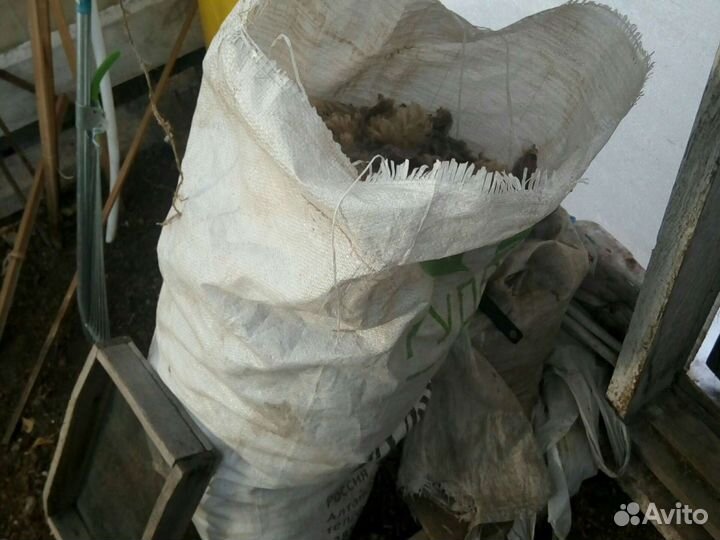 Шерсть овечья