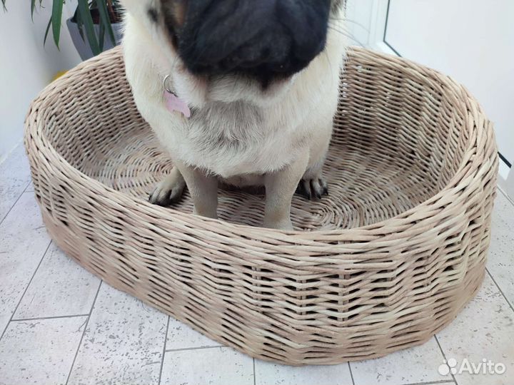 Лежанка для собаки, кошки. Плетёная