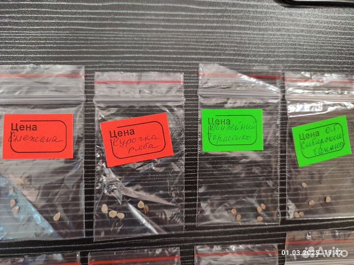 Коллекция семян томатов для консервации