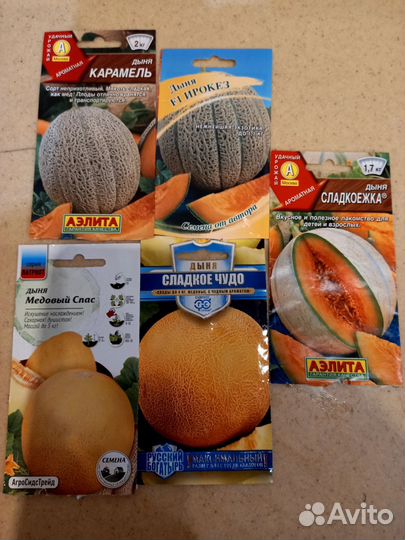 Рассада арбузов