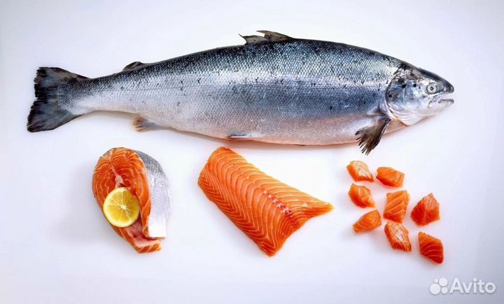 Купить рыбный магазин с доходом