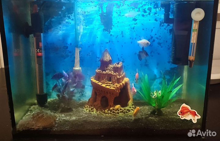 Аквариум с рыбками
