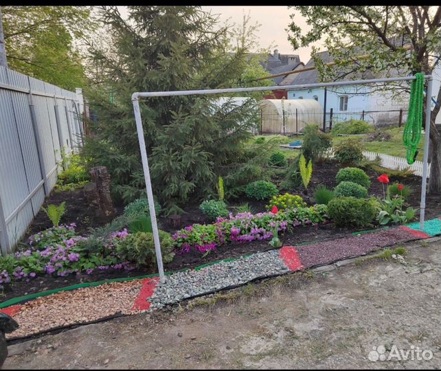 Елка для ландшафтного дизайна