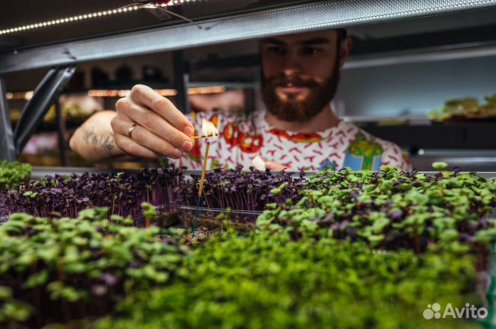 Помогаю запустить и автоматизировать ситиферму