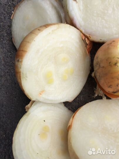 Лук на посадку на перо. Штутгарт и Стардаст