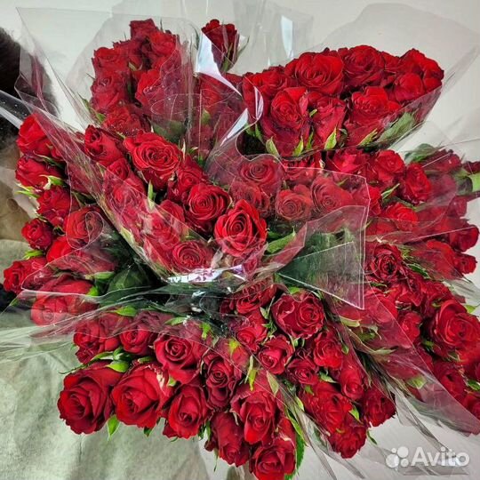 Цветы розы 21 51 71 101 201 опт