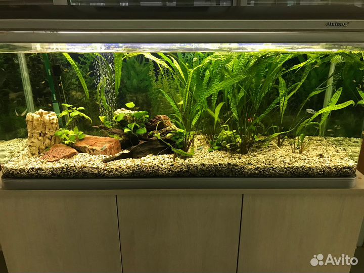 Чистка аквариума. Срочный выезд