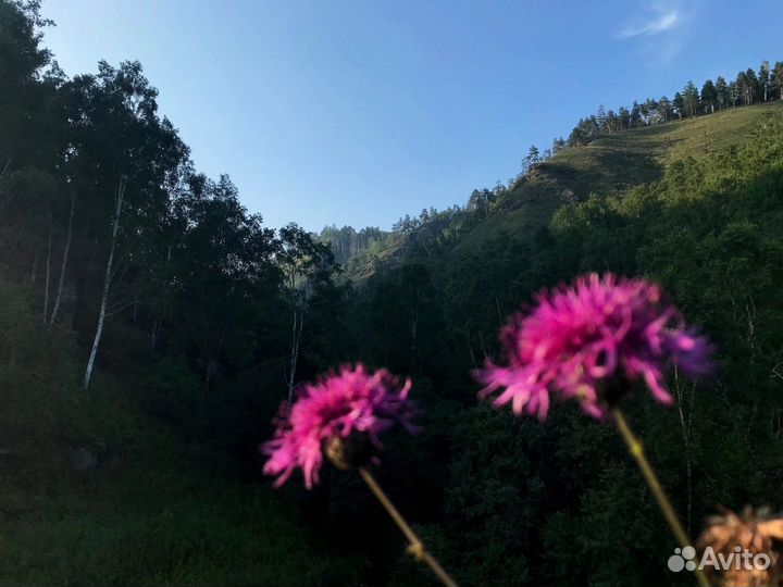 Туры на Байкал