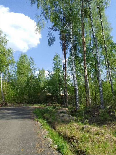 Участок 8,8 сот. (СНТ, ДНП)