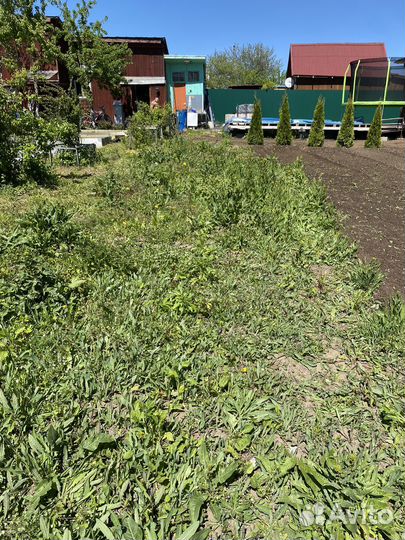 Вспашка земли минитрактором