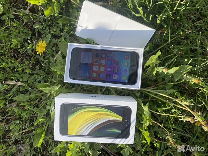 iPhone SE (2020), 64 ГБ