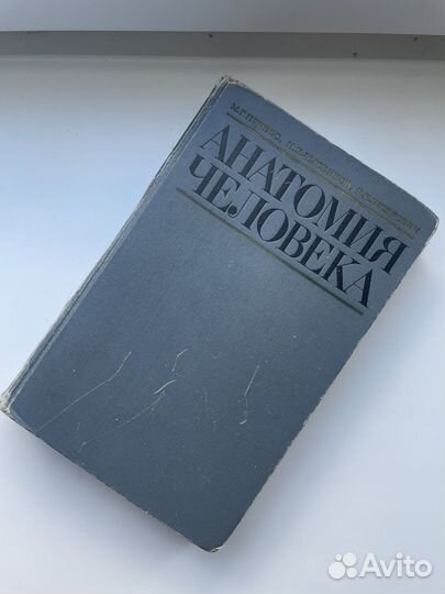 Анатомия человека, Привес