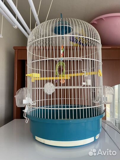 Клетка для попугая